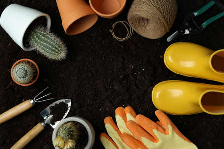 Concept of gardening on soil background, top view