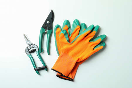 Gardening accessories on white background, top view