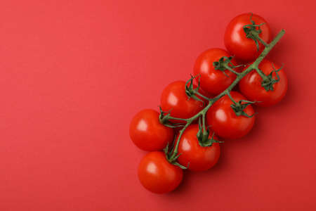 Fresh cherry tomato branch on red backgroundの写真素材