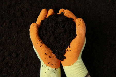 Hands in gloves hold soil on soil background