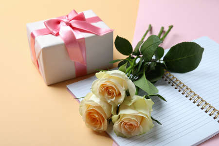 Roses, gift box and copybook on two tone backgroundの写真素材