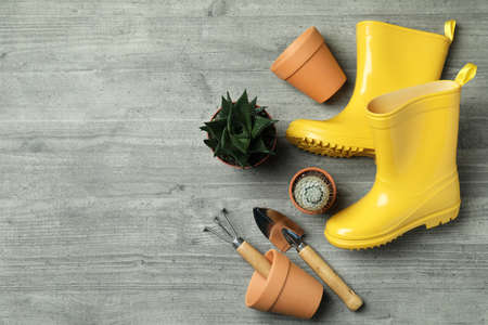 Gardening tools on gray textured background, top view