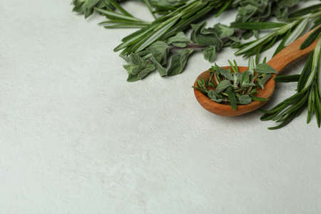 Wooden spoon with herbs on white textured backgroundの写真素材