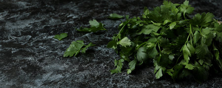 Fresh parsley on black smokey table, space for textの写真素材