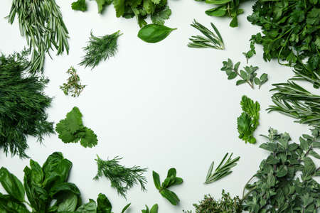 Fresh herbs on white background, space for text