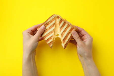 Female hands hold grilled sandwich with cheese on yellow backgroundの写真素材