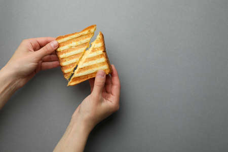 Female hands hold grilled sandwich with cheese on gray backgroundの写真素材
