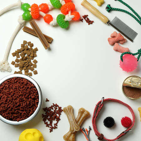 Pet accessories on white background, space for text