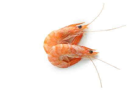 Tasty cooked shrimps isolated on white backgroundの写真素材