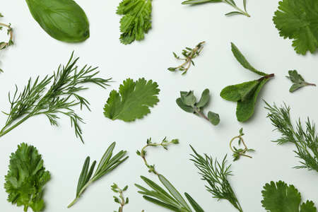Fresh herbs on white background, top view