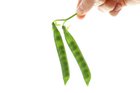 Tasty fresh green pea on white background