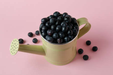 Fresh berry concept with blueberry on pink backgroundの写真素材