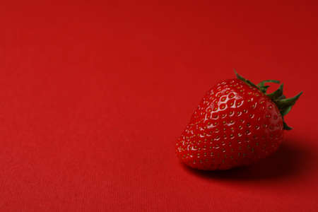 Single fresh tasty strawberry on red backgroundの写真素材