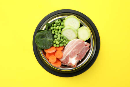 Concept of organic pet food on yellow backgroundの写真素材