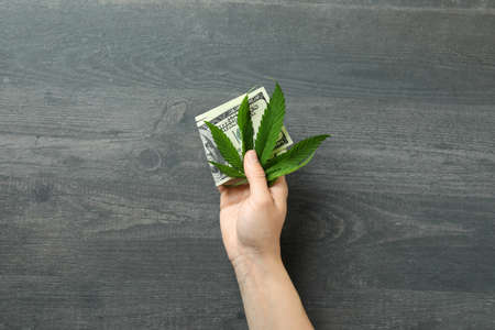 Female hand holds dollars and cannabis leaf on gray wooden background