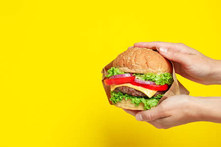 Concept of tasty food with delicious burgerの写真素材