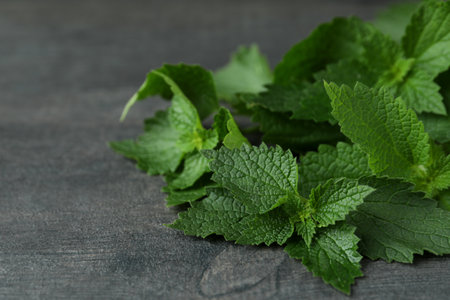 Fresh nettles leaves on dark wooden background
