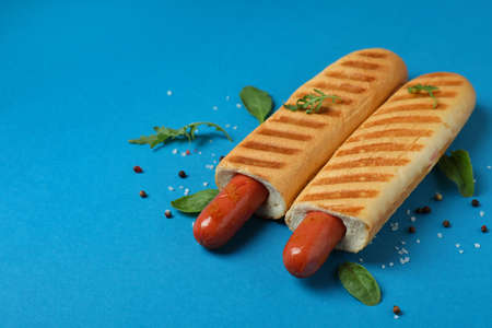 Concept of tasty food with french hot dogの写真素材
