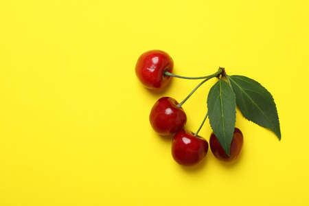 Concept of sweet berry with red cherryの写真素材