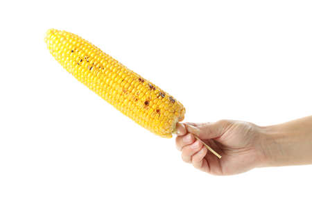 Female hand holds grilled corn, isolated on white background