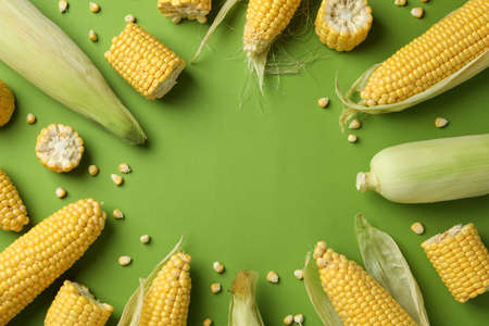 Fresh raw corn on green background, top viewの写真素材