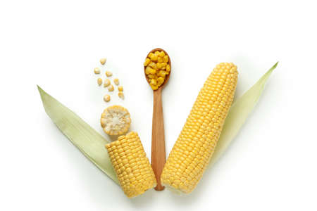 Spoon with corn seeds and corn on white backgroundの写真素材