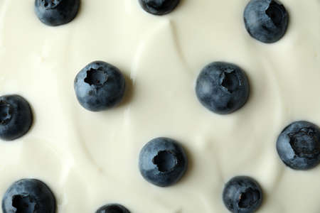 Blueberry yogurt on whole background, close upの写真素材
