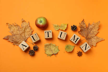 Cozy autumn concept on orange background, top view