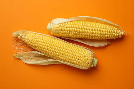 Fresh raw corn on orange background, top viewの写真素材