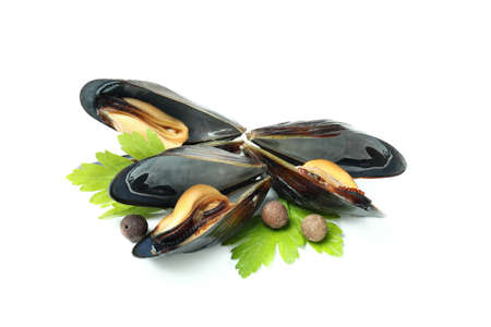 Fresh mussels seafood isolated on white background