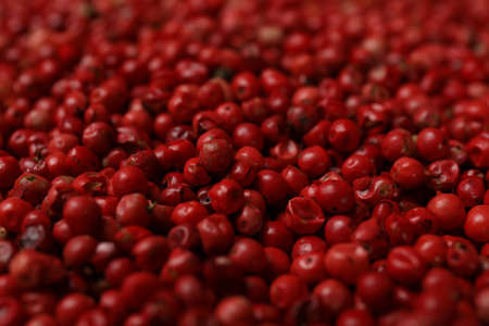 Red peppercorns on whole background, close up