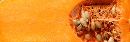 Half of raw pumpkin on blue backgroundの写真素材