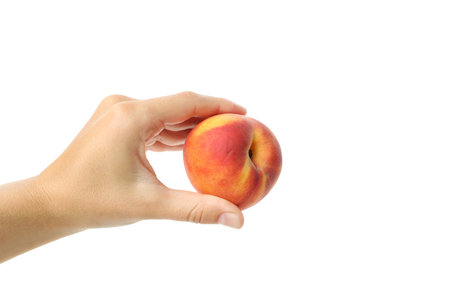Female hand holds peach fruit, isolated on white backgroundの写真素材