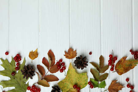 Happy Thanksgiving Day composition on white wooden tableの写真素材