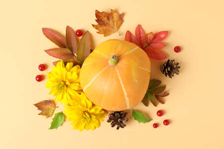Thanksgiving Day composition with pumpkin on beige background