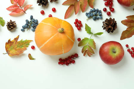 Thanksgiving Day composition with pumpkin on white background