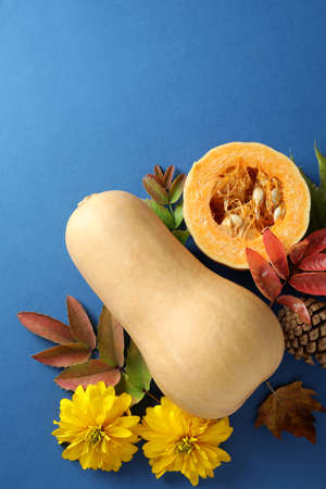 Thanksgiving Day composition with pumpkin on blue backgroundの写真素材