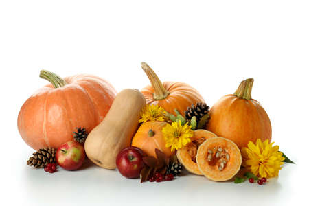 Thanksgiving Day pumpkins isolated on white backgroundの写真素材