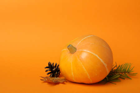 Thanksgiving Day composition with pumpkin on orange background