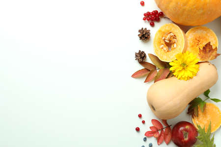 Thanksgiving Day composition with pumpkins on white background