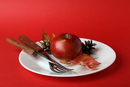 Happy Thanksgiving Day composition on red backgroundの写真素材