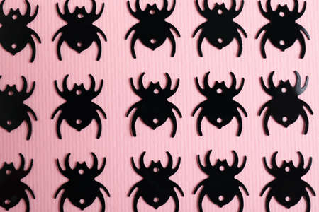 Flat lay composition with spiders on pink backgroundの写真素材