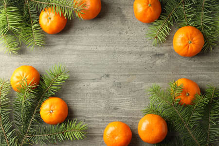 Tasty mandarins and spruce branches on gray textured tableの写真素材