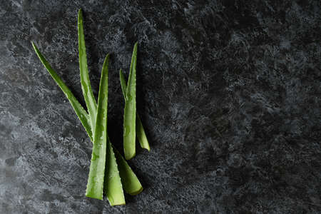 Aloe vera leaves on black smokey backgroundの写真素材