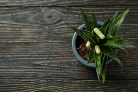 Aloe plant with capsule pills on wooden backgroundの写真素材