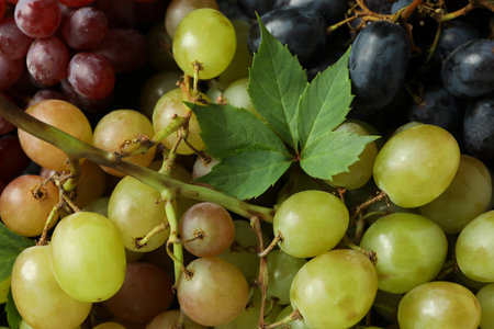 Various grape all over background, close up