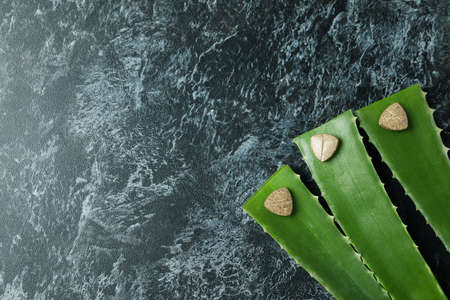 Concept of herb pills with aloe on black smokey backgroundの写真素材