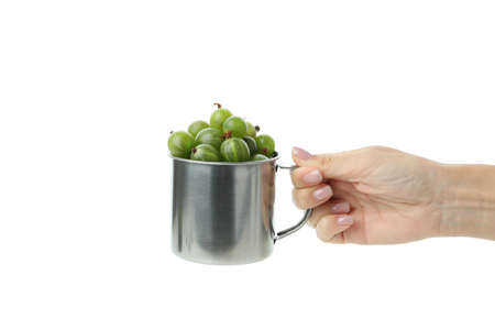 Female hand holds cup of gooseberry, isolated on white backgroundの写真素材