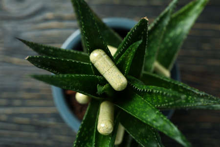 Aloe plant with capsule pills on wooden backgroundの写真素材