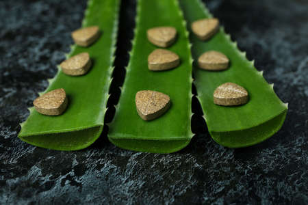Concept of herb pills with aloe on black smokey backgroundの写真素材
